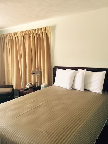 Plaza Motel *